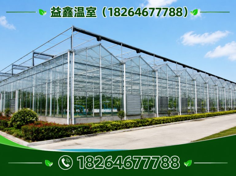 坊子区温室建造厂家展示图